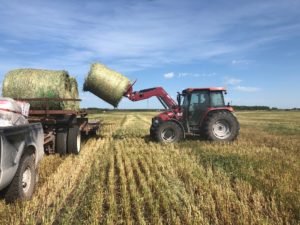 The Lundar Ag Society 2nd Annual field harvest fundraiser